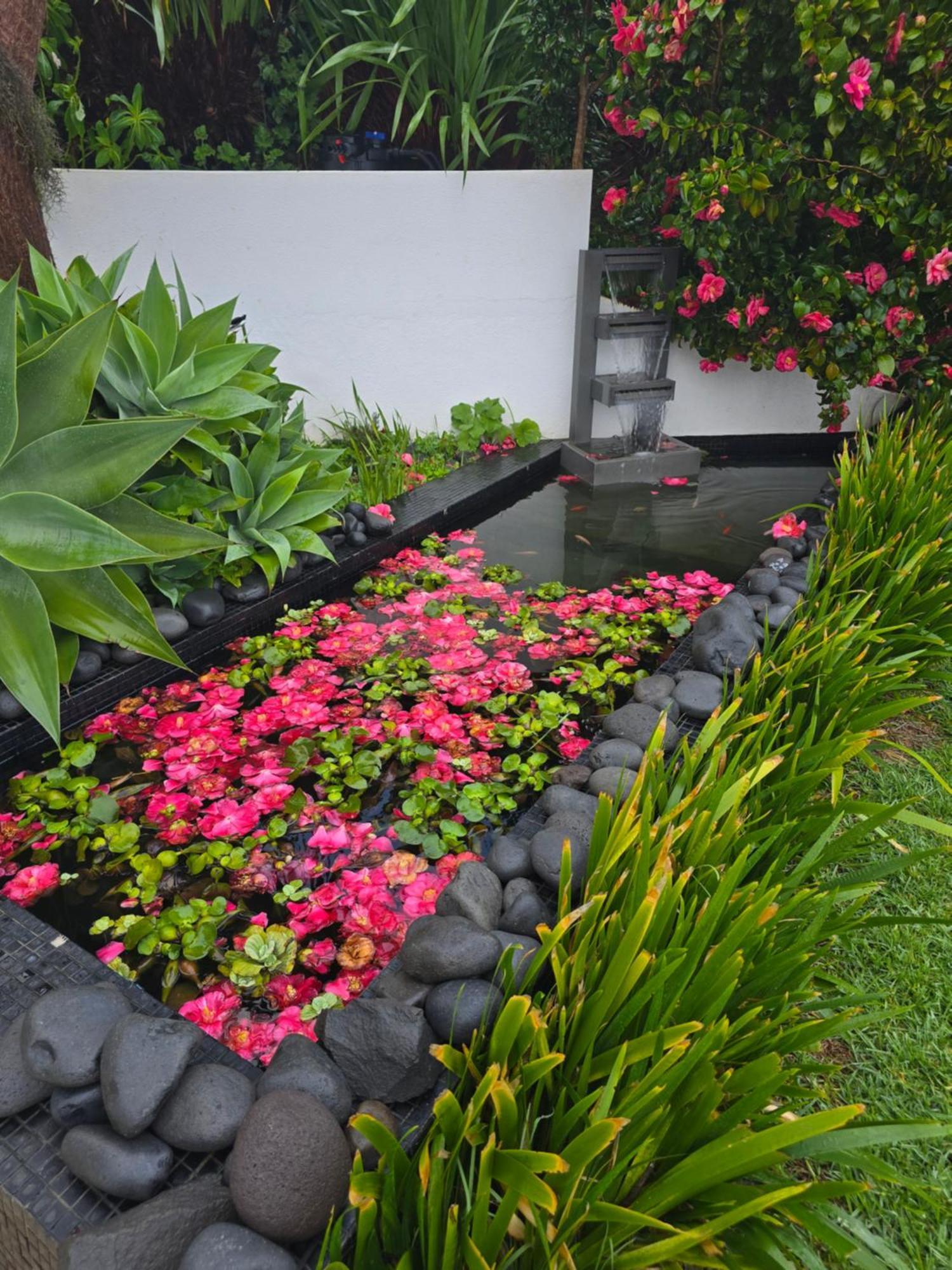 Appartamento Horizon Retreat Calheta  Esterno foto